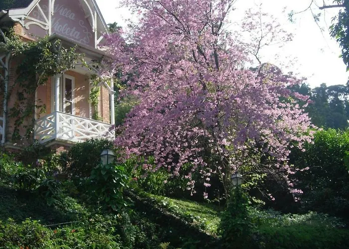 Villa Violeta Petrópolis